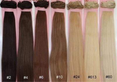 Clip on Hair Extensions for Full Head Clip in Sets (AV-CH003-01)