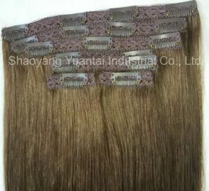 Silky Straight High Contrast Neutral Ombre Clip in Human Hair Extension
