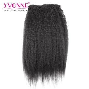 Brazilian Kinky Straight Clip in Hair