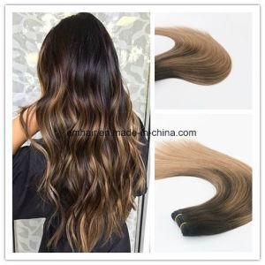 Balayage Color #2#6 Fashion Style High Quality Hair Weaving Hair Weft Remy Straight Hair Extension 100g Per Bundle in Stock