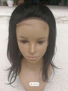 100% Human Hair Wig 12&quot; Straight