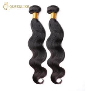 Raw Virgin Cuticle Aligned Malaysian Human Hair Extensions