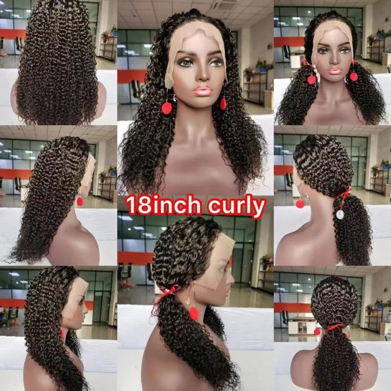 Hair Wigs Human Lace Front Closure Human Hair Wig