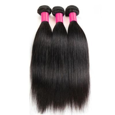 Brazilian Human Hair Straight Bundle Indian Women Hair