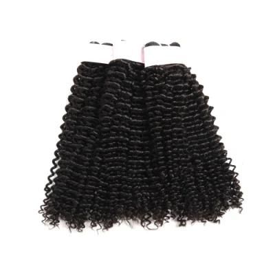 Ml Wholesale Kinky Curly Hair Bundle Wig Hair Extension Tool 100% Real Hair Wig Accessories