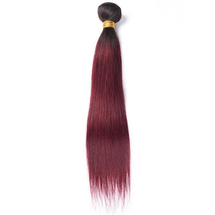 Silky Straight 100% Brazilian Hair Bundles Wholesale Hair Extensions #T1b/99j
