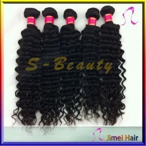 Top Quality Virgin Remy Human Brazilian Hair Extension (SB-B-DW)