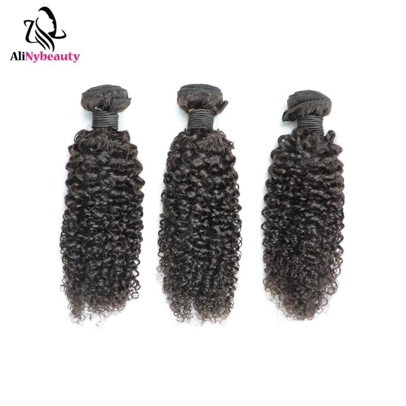 Alinybeauty Wholesale Raw Mink Brazilian Hair Unprocessed Virgin, Cuticle Aligned Indian Hair, Jerry Curly Cuticle Aligned Virgin Human Hair