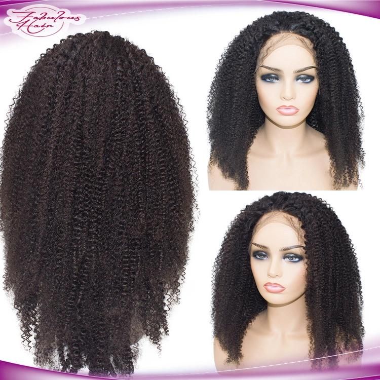 Factory Price Afro Kinky Curly Swiss Lace Human Hair Wig