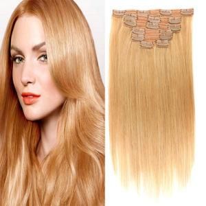 Brazilian Straight 27# Clip-in 100% Human Hair