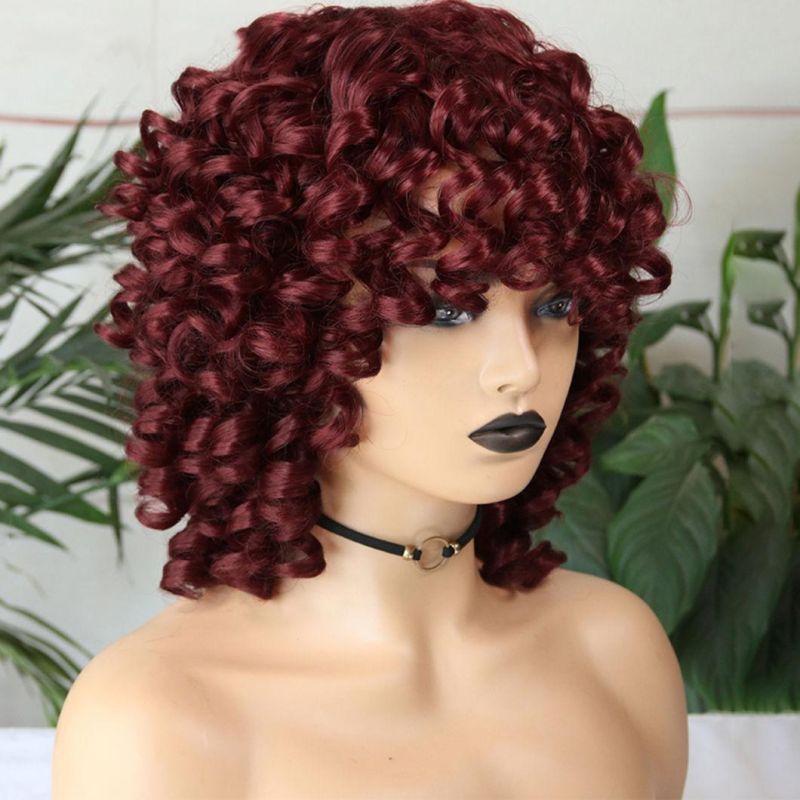 Brazilian Human Hair Short Hair Afro Curly Wig with Bangs Loose Fluffy Shoulder Length Natural Lace Front Wigs for Black Women 14 Inches
