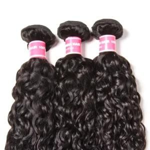 Cuticle Aligned Virgin Indian Curly Water Wave Real Human Hair Extensions