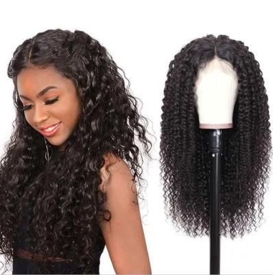 Mink Brazilian Human Hair Curly HD Lace Wig