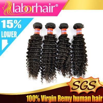 Human Malaysian Kinky Curly Natural Virgin Hair 9A Remy Grade Extension Lbh 026