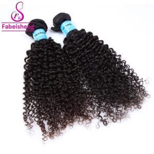 Natural Color Full Cuticle 100% Kinky Curly Clip in Hair Extensions