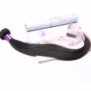 100% Human Hair Indian Straight Hair Double Weft Hair Extension