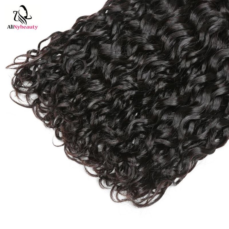 Alinybeauty High Quality Water Wave Virgin European Human Natural Hair