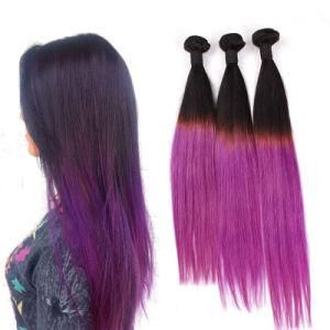 100% Brazilian Virgin #1b/Purple Two Tone Human Hair