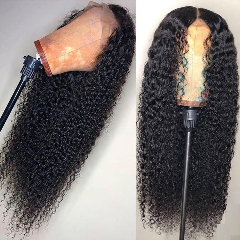 Transparent Lace Brazilian Human Hair Lace Wigs for Black Women