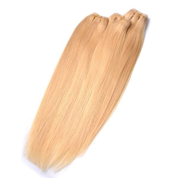 Top Quality Ombre Remy Hair Extensions, Virgin Russian Hair Weaving