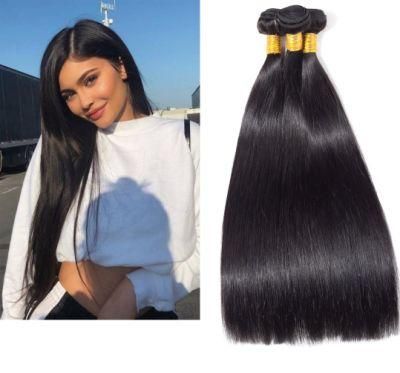 Brazilian Virgin Hair Straight Human Hair 3 Bundles