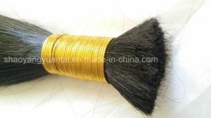 5A~8A Hot Sell Real 100% Human Hair Bulk (Bundle) Extension
