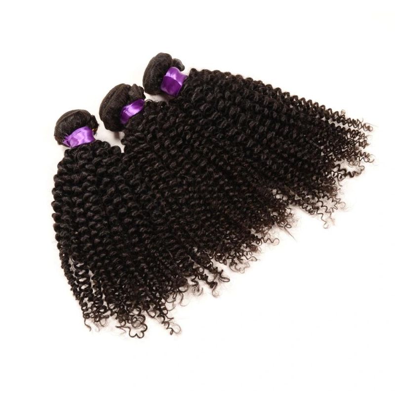 100% Virgin Indian Afro Kinky Curly Hair Hot Sale Afro Kinky Hair Weaving Grade 7A Afro Kinky Human Hair