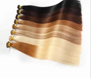 High Quality Stick I Tip Human Hair Extensions (K-021)