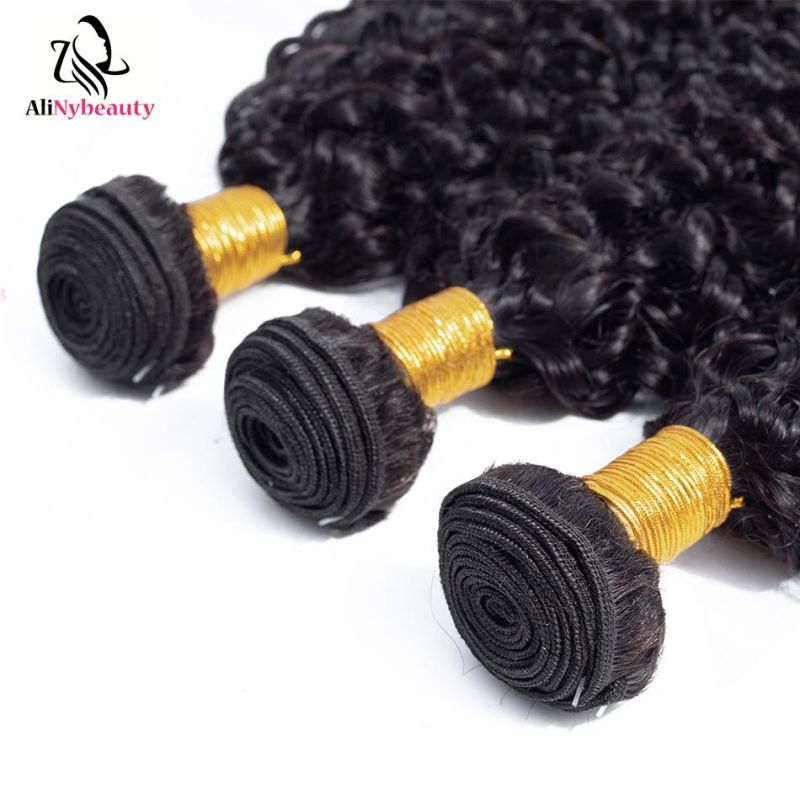Alinybeauty Hot Selling Unprocessed Grade 8A Jerry Curly Hair 100% Indian Hair