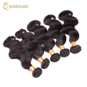 Mink Brazilian Color Cuticle Aligned Raw Virgin Hair Extensions