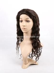Color 2 Full Lace Wig Hair Extension
