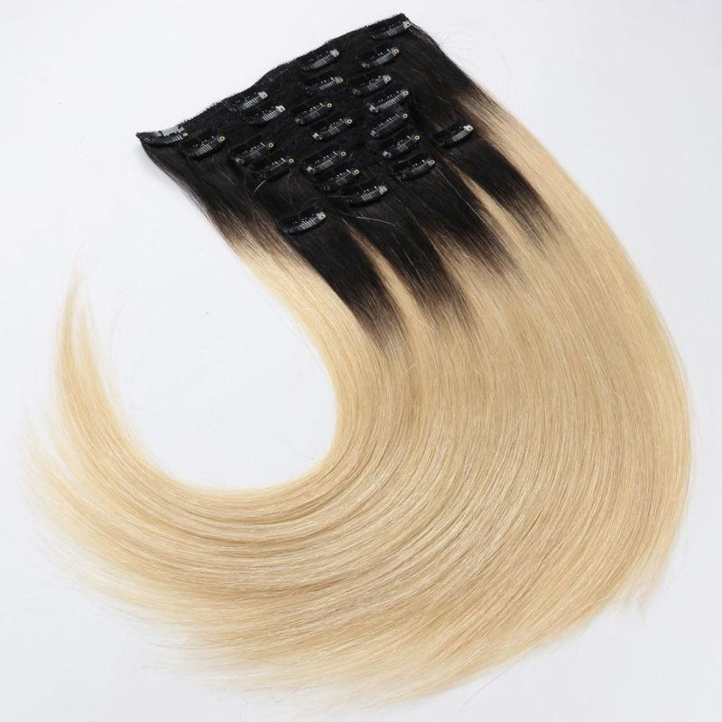 Hot Sale Wholesale Price 1A Quality Indian Virgin Remy Straight Thick Full Head Clip in Hair Extension