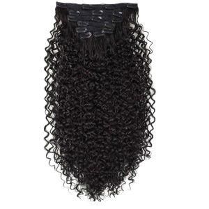 Professional Human Hair Extensions Clip in Hair Extension Deep Wave