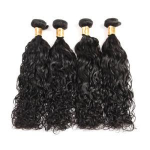 Cuticle Aligned 100% Human Virgin Brazilian Hair Weave
