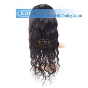 3A Virgin Indian Hair Wig Price (KBL-IH-IHL)