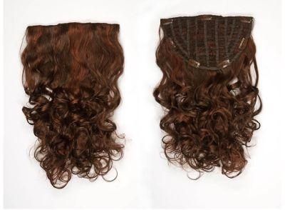 Clip in Hair Extension Virgin Hair Clip on Hair Extension (AV-HW00-19)