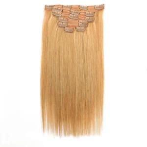 Peruvian Straight 27# Clip-in 100% Human Hair