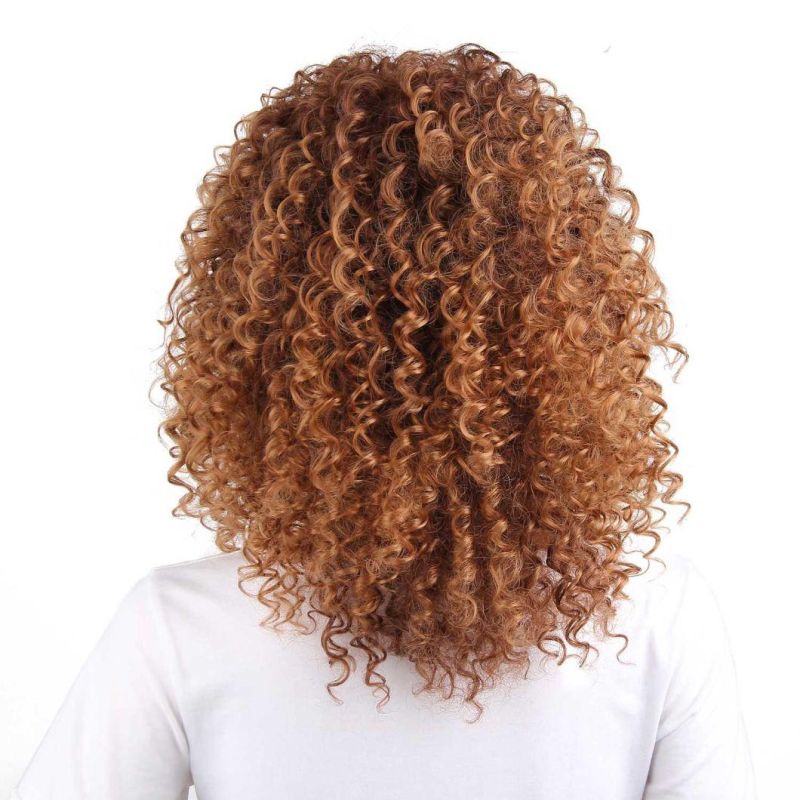 Synthetic Heat Resistant Fiber Ombre Brown Color Hair Wig Afro Curly Wigs for Black Women