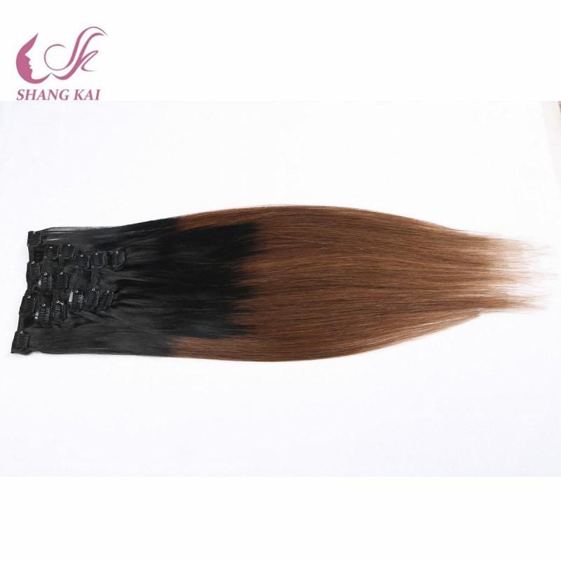 Ombre Color Wholesale Price Clip in Hair Extensions