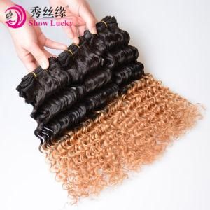 Natural Color Ombre 1b/27 One Donor Deep Curly Wave 100% Unprocessed Mongolian Human Hair Extension
