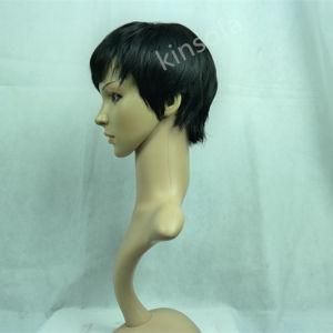100% Human Hair Wigs