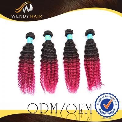 Ombre Color Virgin Indian Afro Curl Human Hair