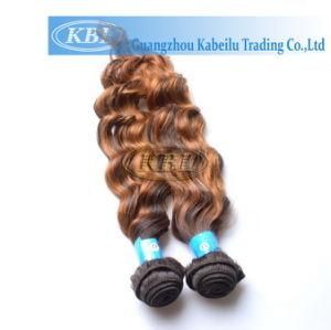 5A Brazilian Omber Hair Weave