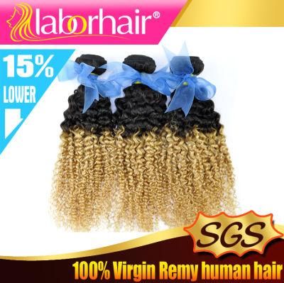 9A Fashion Kinky Curl Ombre Human Hair Extensions