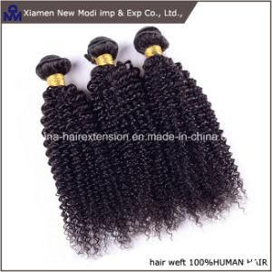 Human Hair Weft Curly Brazilian Human Hair