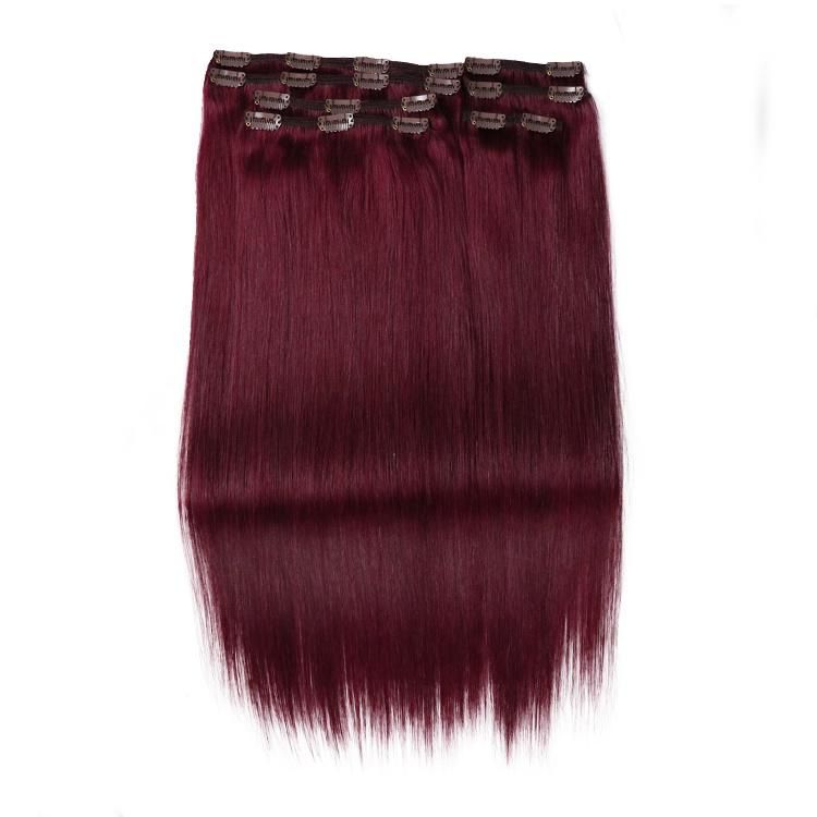 Indian Cuticle Aligned Human Hair Straight Clip in Hair Extensions #35