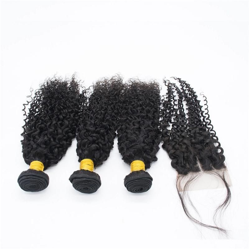 Hot Sale Brazilian Virgin Hair Body Wave Bundle with Closure