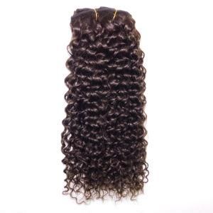 Peruvian Jerry Curly Brown Clip in Human Hair Extensions