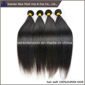 Straight Human Hair Indian Human Hair Weave