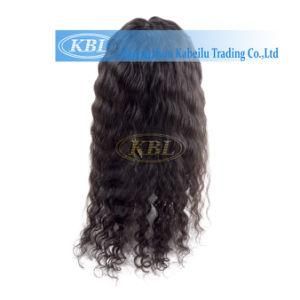 Brazilian Silk Front Lace Wig Density 180%